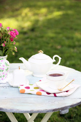 Teapot and cup on table, close-up, in garden