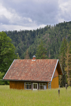 Сottage on the edge of the meadow, Carpathians
