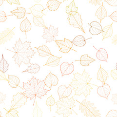 Autumn leaf skeletons template.