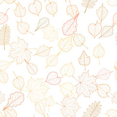 Autumn leaf skeletons template.
