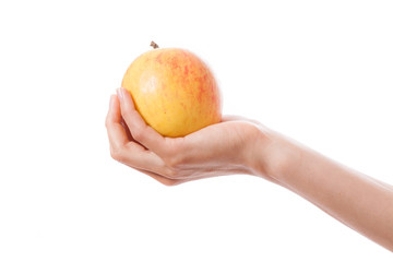 apple in a female hand