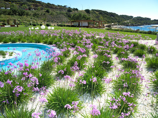 Exotische Pflanzen, Pool, Strand