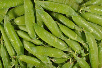 Fresh green pea pods background