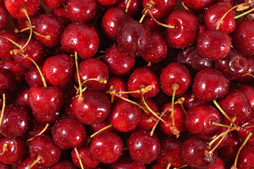Red cherries background