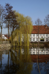 Fototapete bei efototapeten.de bestellen   