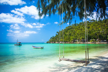 Swing hang from coconut tree over beach, Phangan island - obrazy, fototapety, plakaty