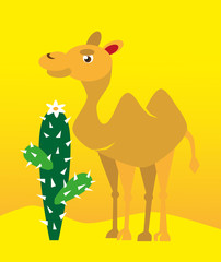 camel and cactus