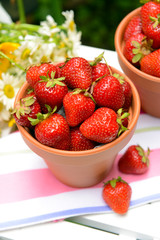Ripe sweet strawberries in pots on table in garden