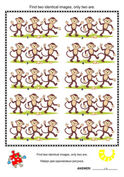 Visual puzzle - find two identical pictures of monkeys