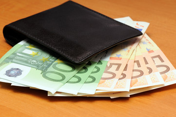 purse and euro