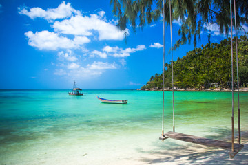 Swing hang from coconut tree over beach, Phangan island