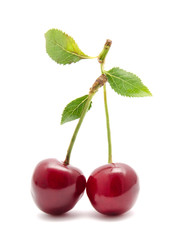 Juicy cherry with leaf isolated