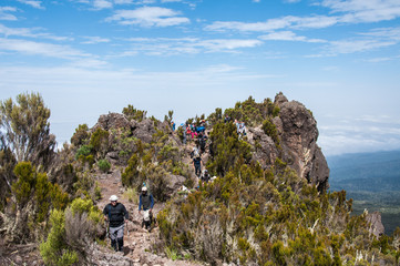 Naklejka premium On Shira Ridge, Kilimanjaro