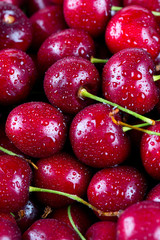 wet cherries background