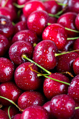 wet cherries background