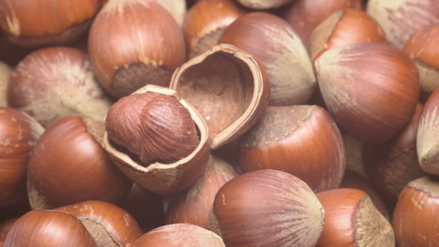 Turkish hazelnuts rotating
