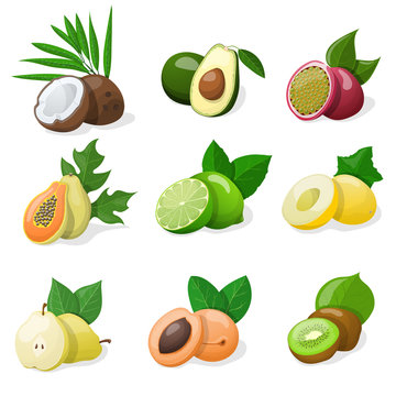 Set of exotic fruit. Vector illustration