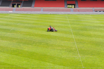 Stade Ernest Wallon Toulouse tondeuse