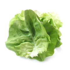 Lettuce Leafs - 66713296