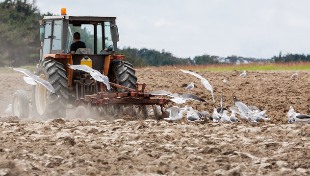 Agriculture, labour