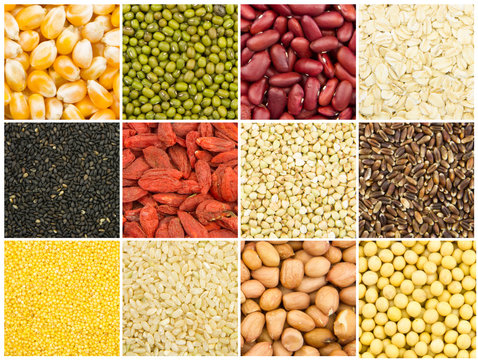 grain collection