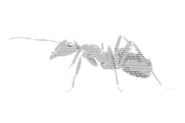 word ant mixed to be figure of ant, with typography style, isola