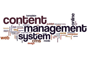 Fototapeta premium Content management system word cloud