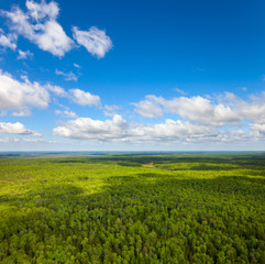Fototapeta na wymiar Boundless forests, top view