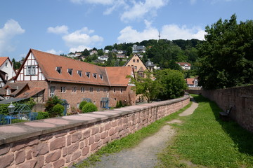 Fototapeta na wymiar Pferdestall im Oberhof in Büdingen