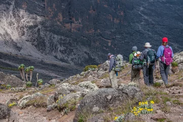 Photo sur Plexiglas Kilimandjaro Small group descending to Barranco Camp, Kilimanjaro