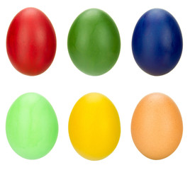 egg collection