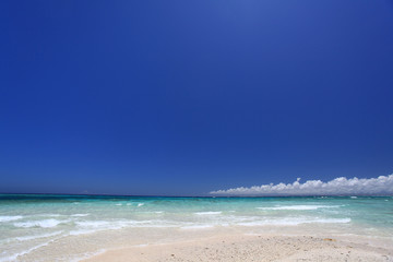 南国の美しいビーチと紺碧の空