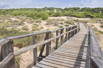 Fototapeta na wymiar Beach of Huelva