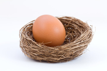 Egg in a nest isolated on white background