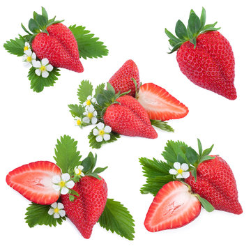 Strawberries Collection
