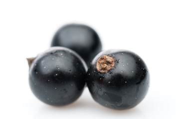 three black currant berries