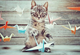 Little kitten is playing with colorful paper cranes