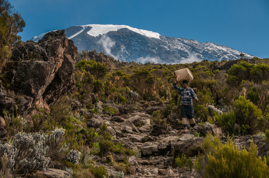 Porter Descending Kilimanjaro