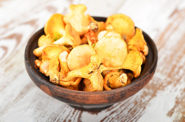 Chanterelle mushroom in clay bowl on wooden background