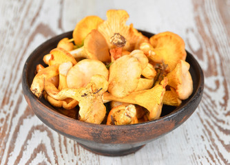 Chanterelle mushroom in clay bowl on wooden background