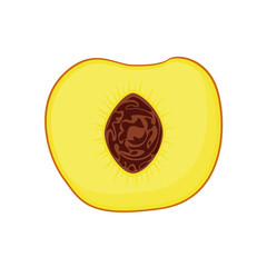 Stylish Peach Isolated On Blue Background