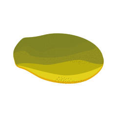 Stylish Papaya Isolated On White Background