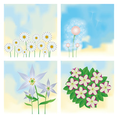 Set Of Different Colorful Flowers Isolated