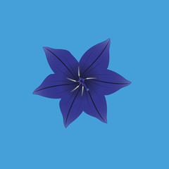 Stylish Flower Illustration Isolated On Background