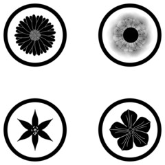 Set Of Different Abstract Flower Illustrations