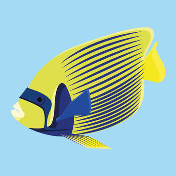 Yellow And Blue Fish Isolated On Blue Background