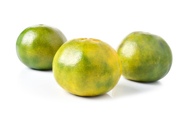 orange  on white background