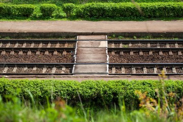  railroad tracks on the background of green grass in summer