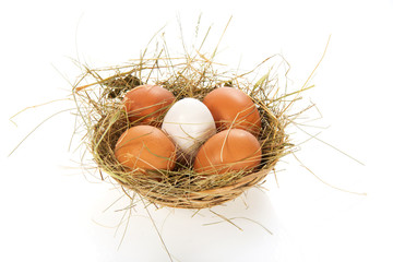 Eggs, hay in a bast basket