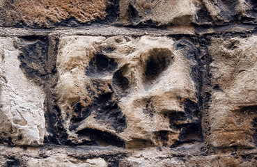 Scary skull in a stone wall
